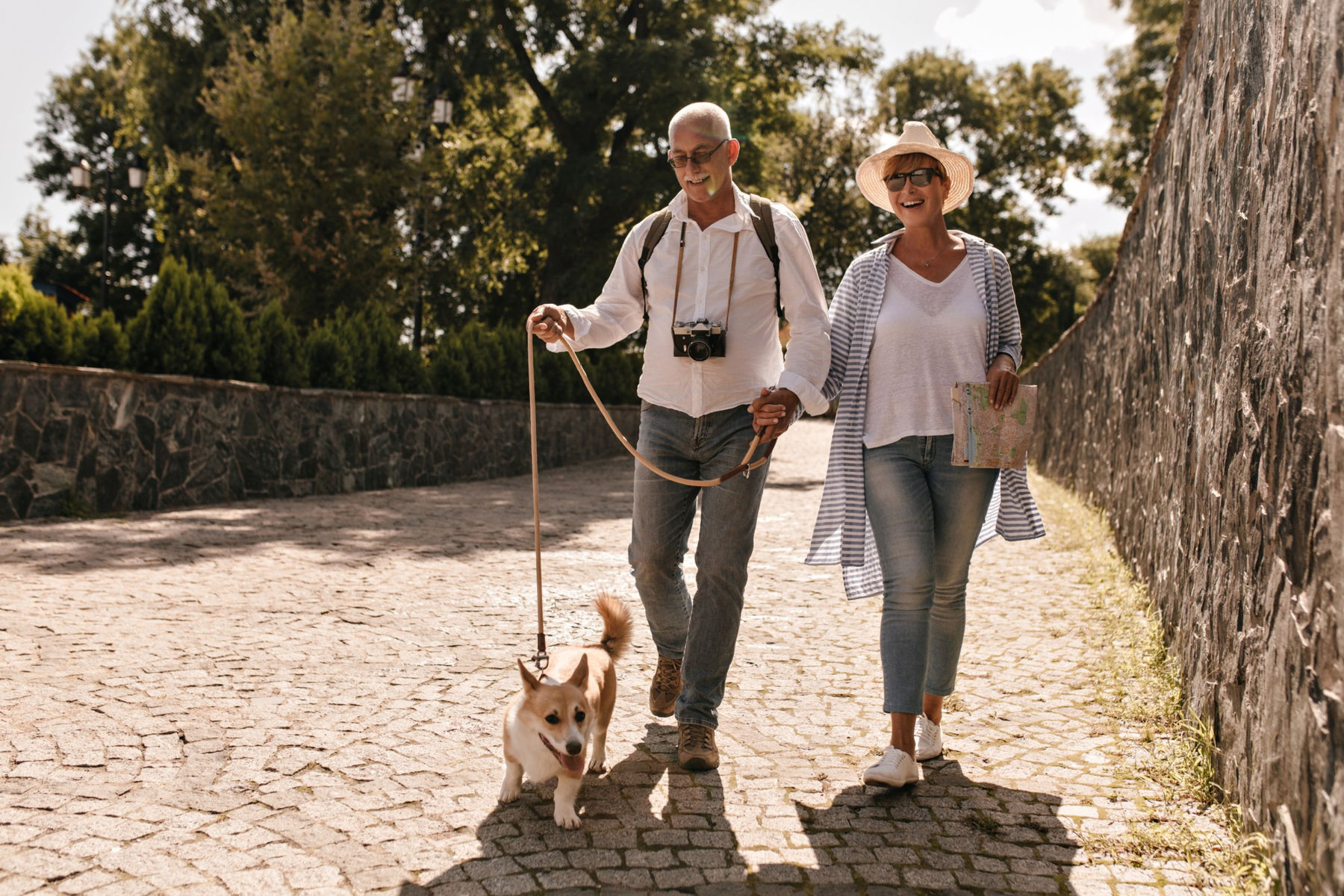 mutuelle senior pas cher
